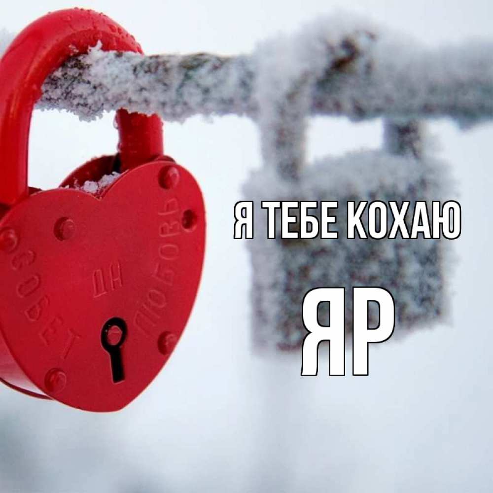 Открытка на каждый день з підписом, Яр Я тебе кохаю любви Прикольна листівка з побажанням онлайн скачати безкоштовно 