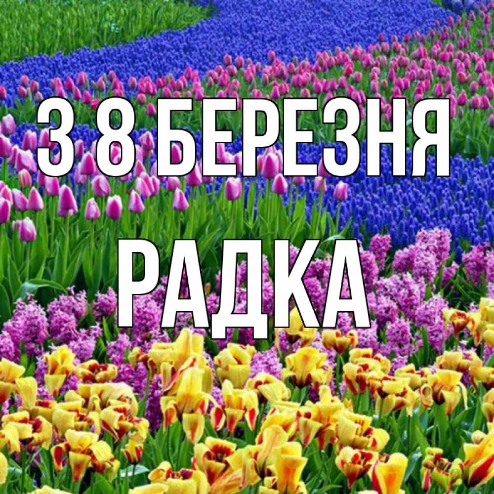 Открытка на каждый день з підписом, Радка З 8 БЕРЕЗНЯ цветы Прикольна листівка з побажанням онлайн скачати безкоштовно 
