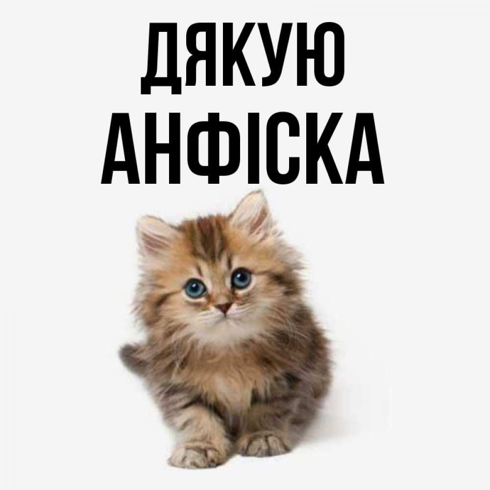 Открытка на каждый день з підписом, Анфіска Дякую пушистый котик Прикольна листівка з побажанням онлайн скачати безкоштовно 
