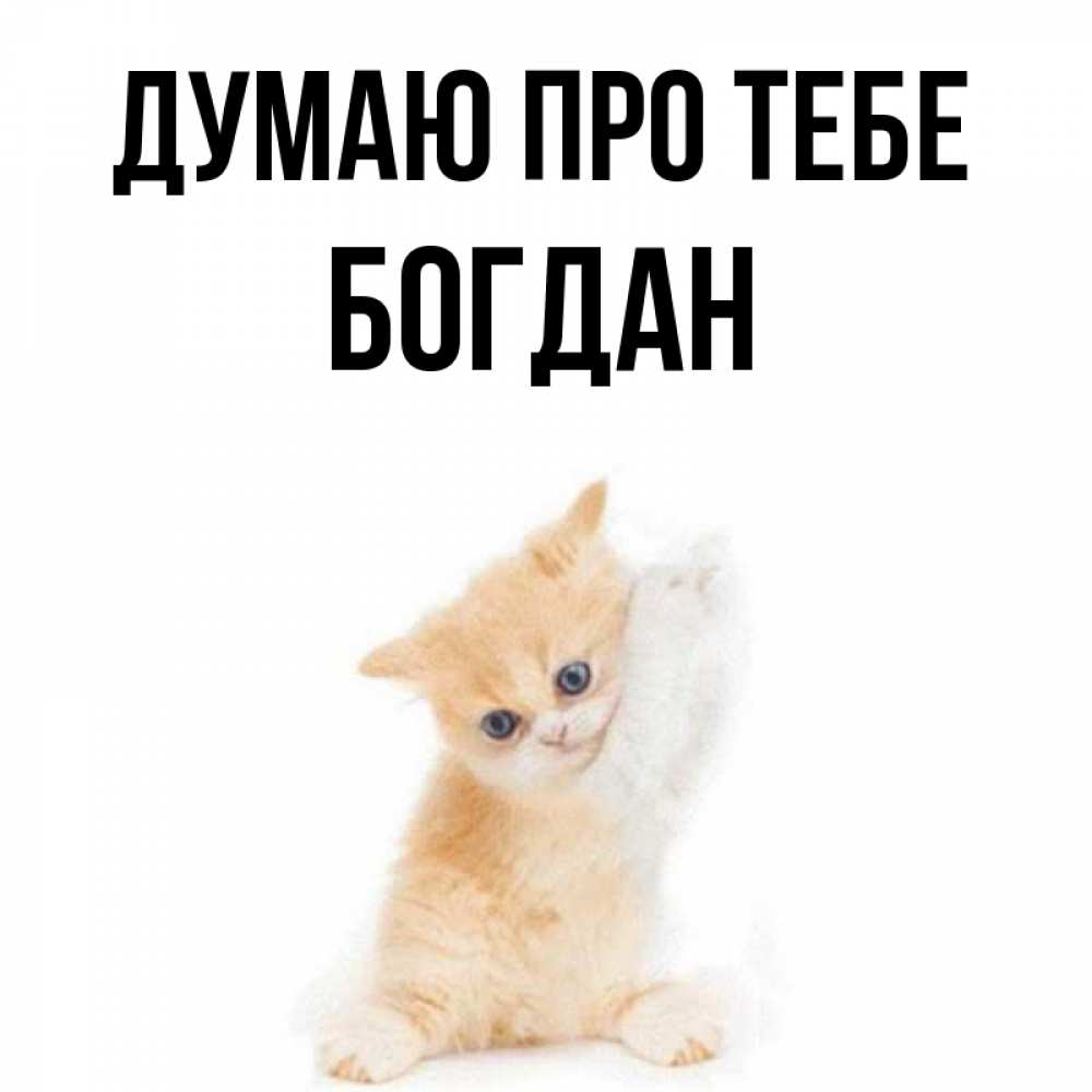 Открытка на каждый день з підписом, Богдан Думаю про тебе зверушки и милота Прикольна листівка з побажанням онлайн скачати безкоштовно 