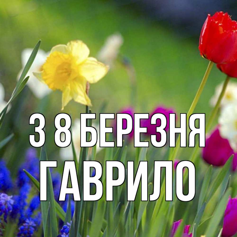 Открытка на каждый день з підписом, Гаврило З 8 БЕРЕЗНЯ международный женский день 3 Прикольна листівка з побажанням онлайн скачати безкоштовно 