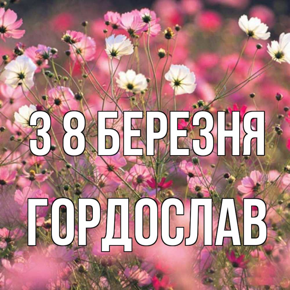 Открытка на каждый день з підписом, Гордослав З 8 БЕРЕЗНЯ красиво 1 Прикольна листівка з побажанням онлайн скачати безкоштовно 