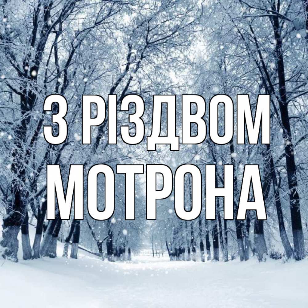 Открытка на каждый день з підписом, Мотрона З Різдвом снег, лес, парк Прикольна листівка з побажанням онлайн скачати безкоштовно 