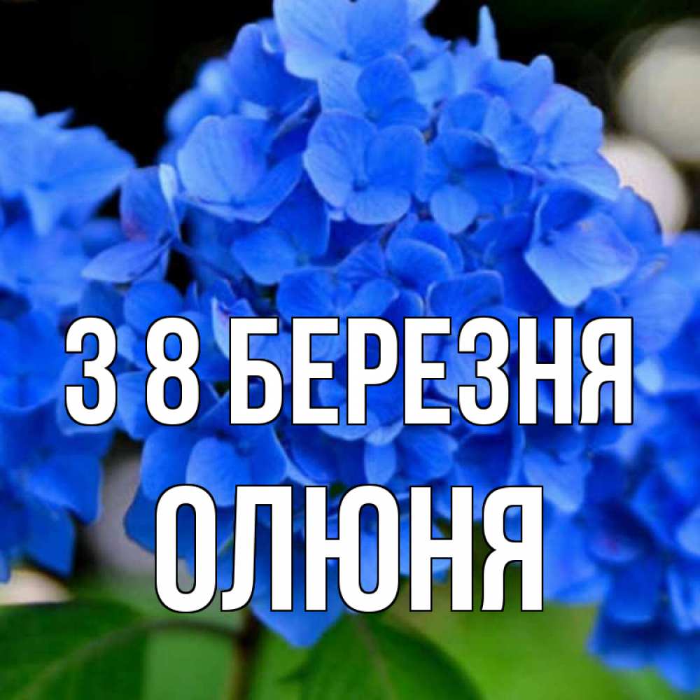 Открытка на каждый день з підписом, Олюня З 8 БЕРЕЗНЯ синие цветы Прикольна листівка з побажанням онлайн скачати безкоштовно 