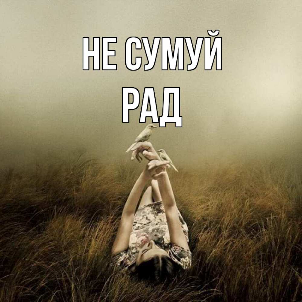 Открытка на каждый день з підписом, Рад Не сумуй поле и туман Прикольна листівка з побажанням онлайн скачати безкоштовно 