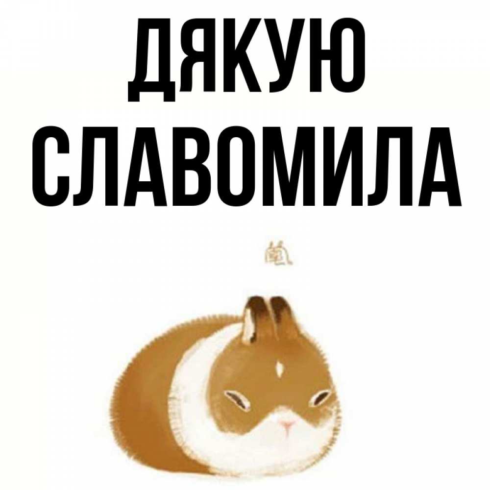 Открытка на каждый день з підписом, Славомила Дякую коричнево белый домашний питомец Прикольна листівка з побажанням онлайн скачати безкоштовно 