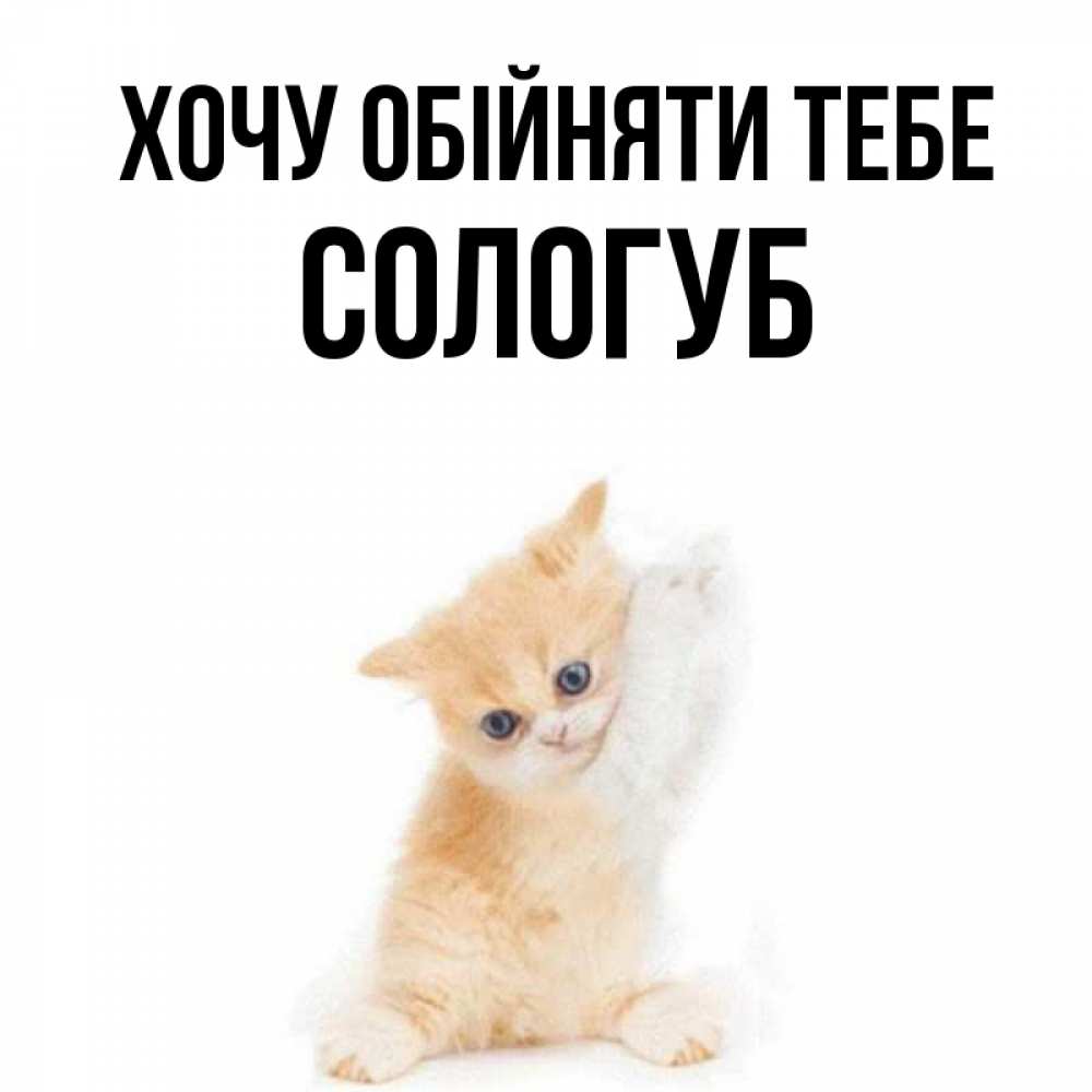 Открытка на каждый день з підписом, Сологуб Хочу обійняти тебе я хочу очень скорее обнимаешек Прикольна листівка з побажанням онлайн скачати безкоштовно 