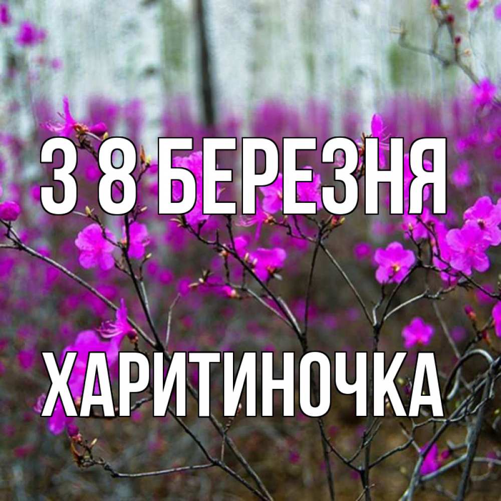Открытка на каждый день з підписом, Харитиночка З 8 БЕРЕЗНЯ дикие цветы Прикольна листівка з побажанням онлайн скачати безкоштовно 