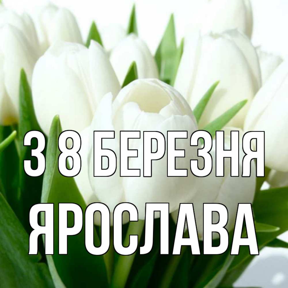Открытка на каждый день з підписом, Ярослава З 8 БЕРЕЗНЯ цветы Прикольна листівка з побажанням онлайн скачати безкоштовно 