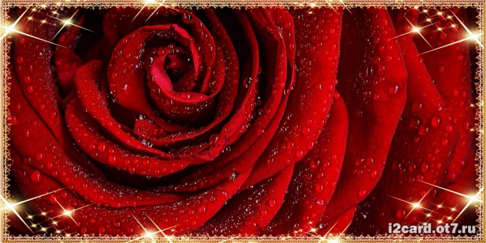 Открытка роза в росе и звездах роса на розе блестящая в лучах солнца З Днем народження 