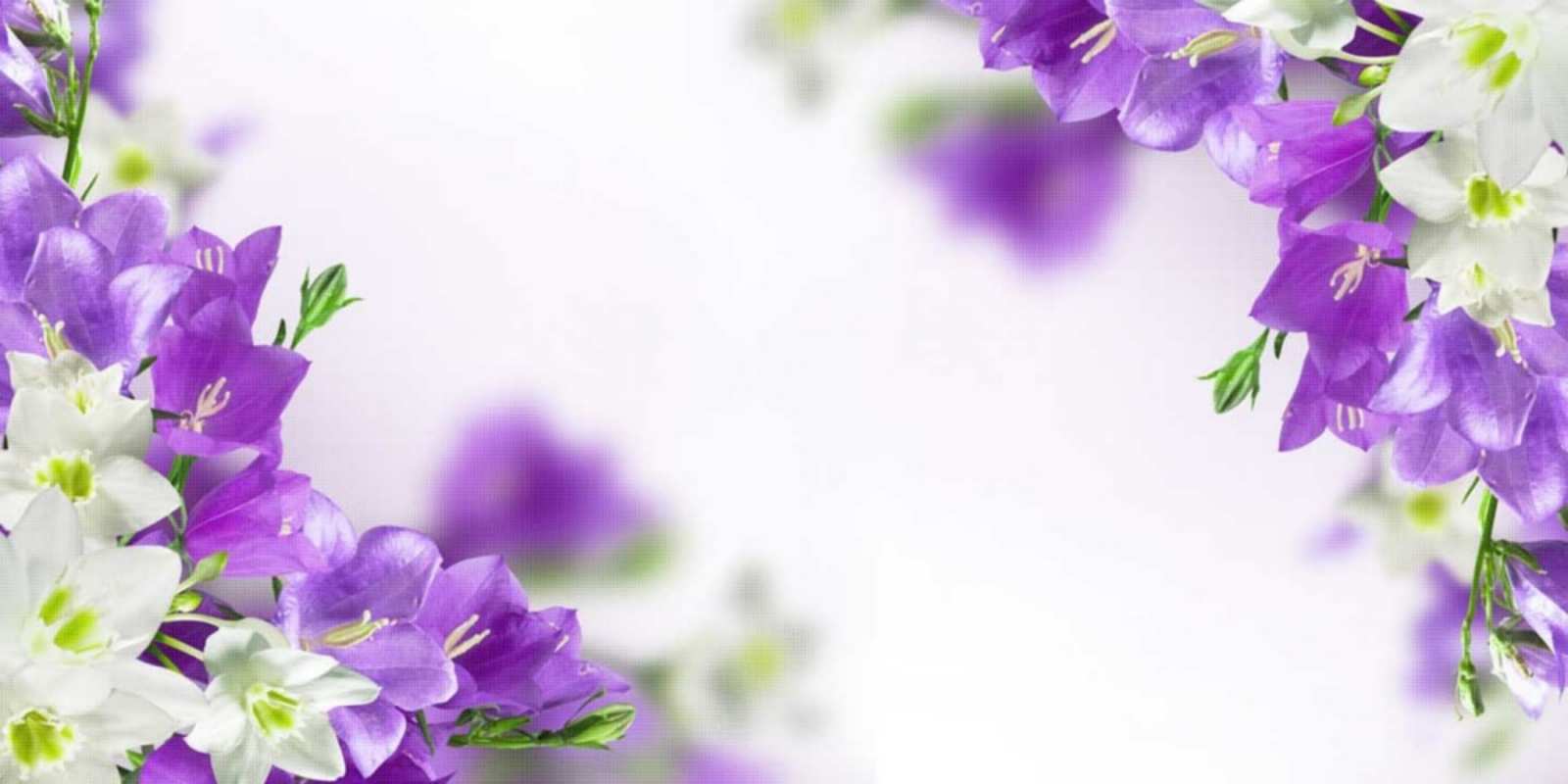 Открытка весенние цветы на открытке для родных и близких открытка на день рождения с сиреневыми цветами З Днем народження 