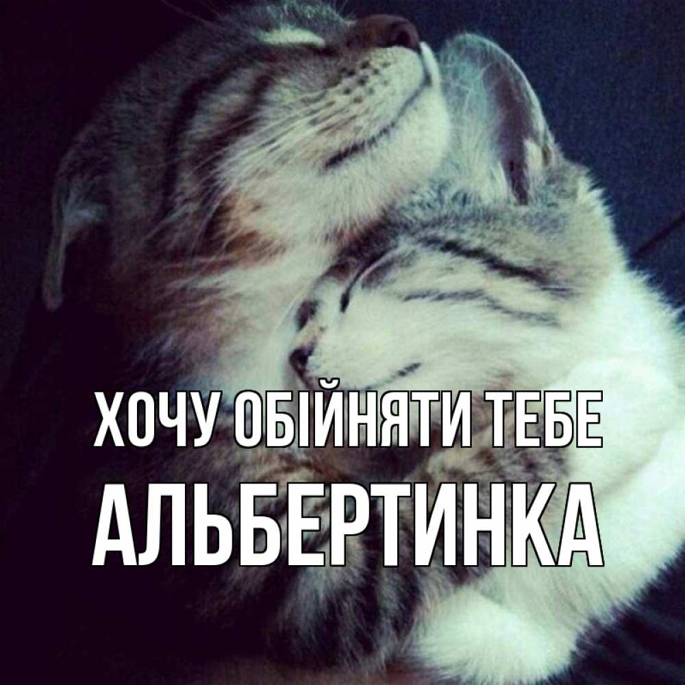 Открытка на каждый день з підписом, Альбертинка Хочу обійняти тебе полосатики Прикольна листівка з побажанням онлайн скачати безкоштовно 
