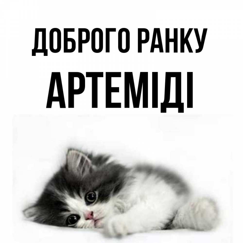 Открытка на каждый день з підписом, Артеміді Доброго ранку кот лапки Прикольна листівка з побажанням онлайн скачати безкоштовно 