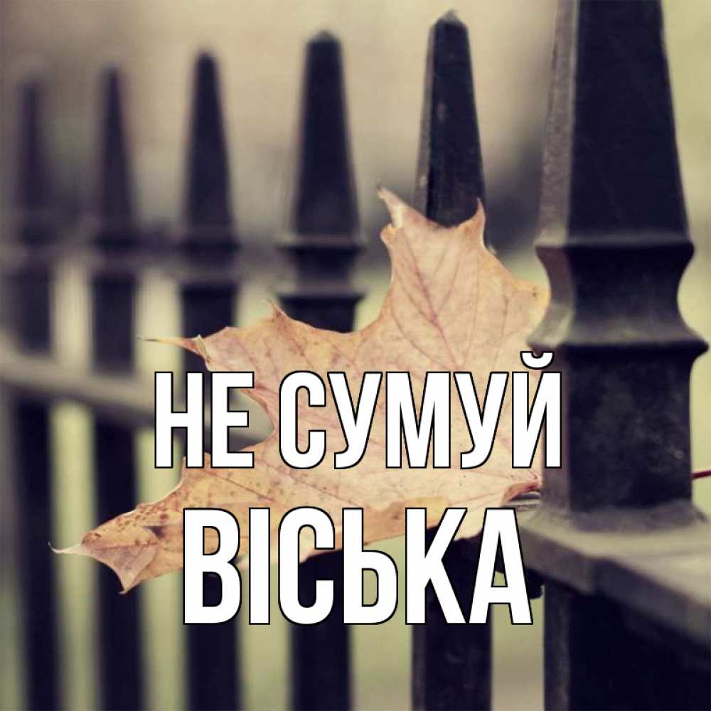 Открытка на каждый день з підписом, Віська Не сумуй лист клена Прикольна листівка з побажанням онлайн скачати безкоштовно 