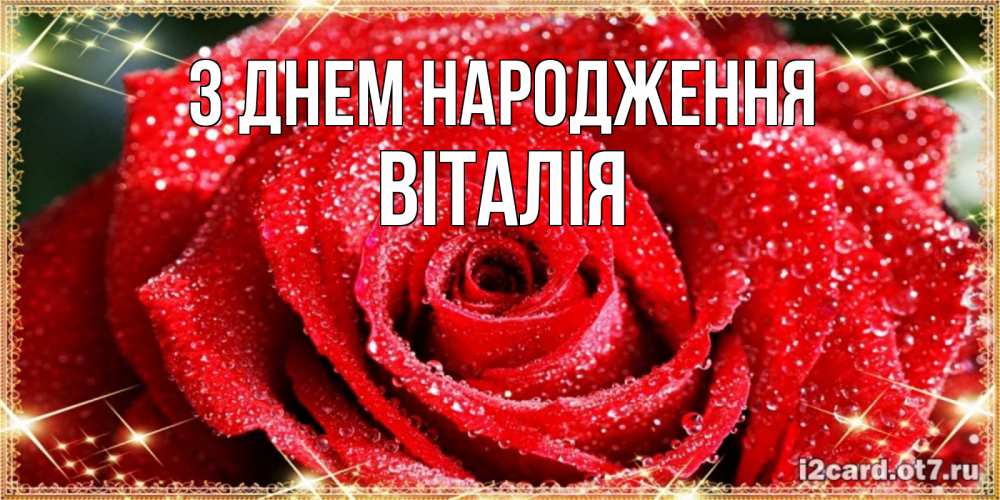 Открытка на каждый день з підписом, Віталія З Днем народження роса и роза. открытка с красивой розой Прикольна листівка з побажанням онлайн скачати безкоштовно 