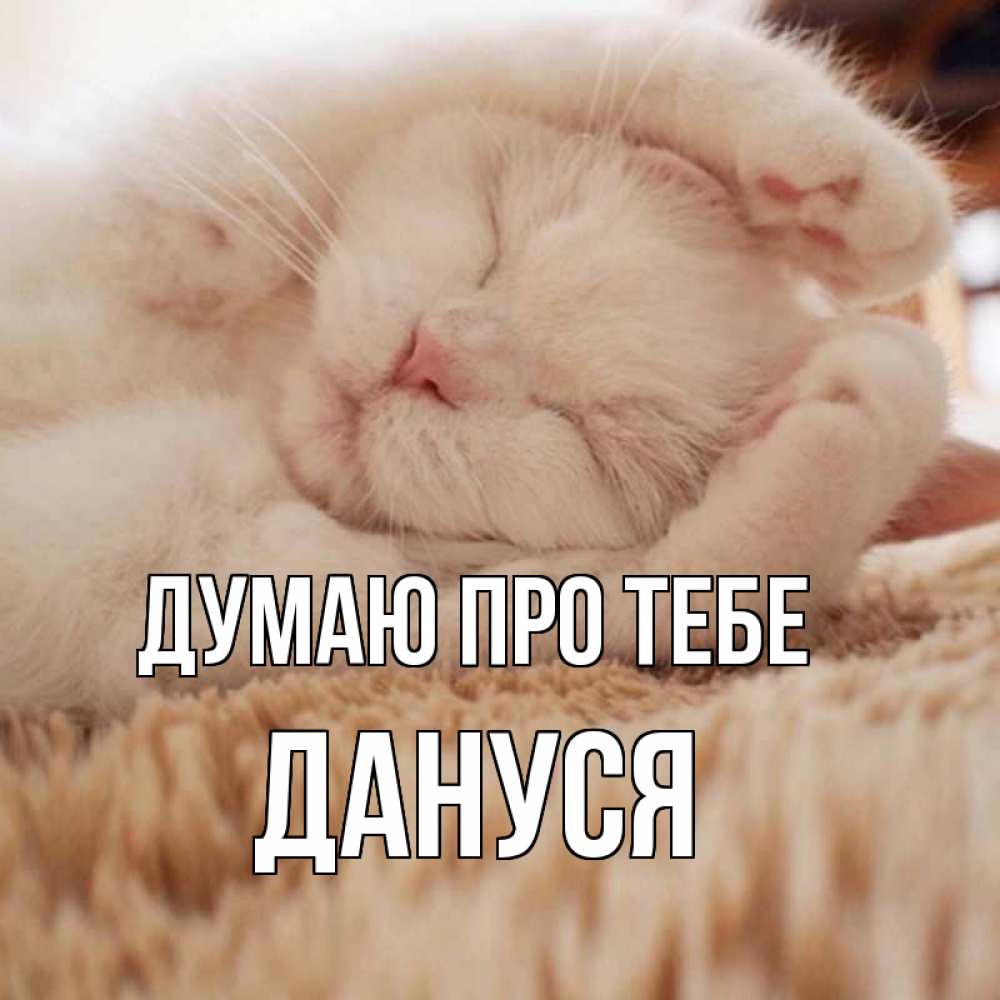 Открытка на каждый день з підписом, Дануся Думаю про тебе для любимой девушки милота Прикольна листівка з побажанням онлайн скачати безкоштовно 