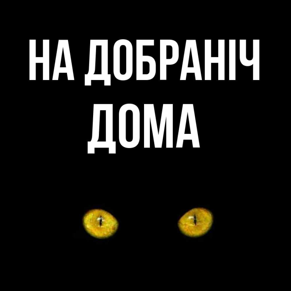 Открытка на каждый день з підписом, Дома На добраніч сладких снов бесстрашный мой дружочек Прикольна листівка з побажанням онлайн скачати безкоштовно 
