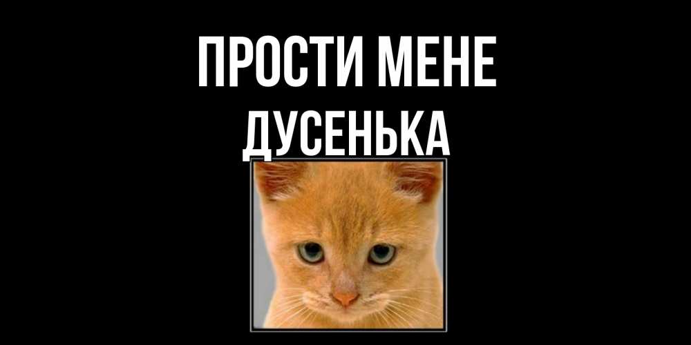 Открытка на каждый день з підписом, Дусенька Прости мене рыжий грустный кот просит прощения Прикольна листівка з побажанням онлайн скачати безкоштовно 