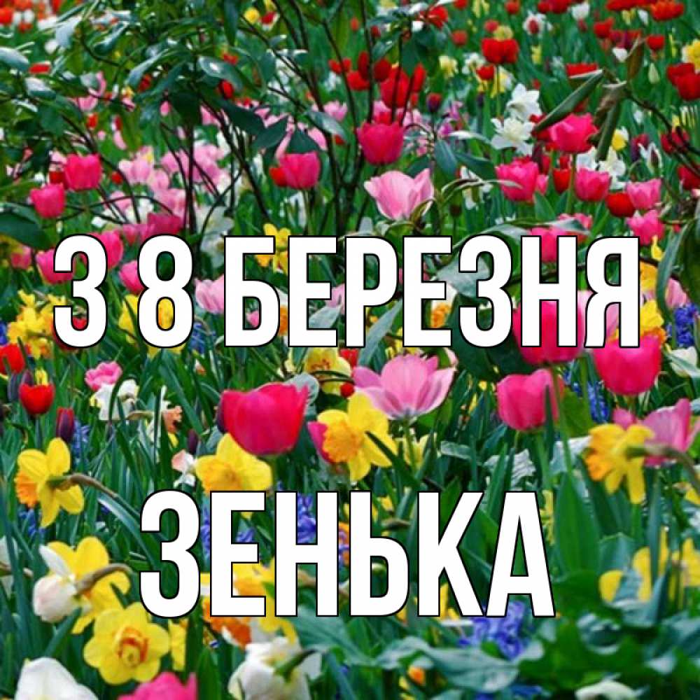 Открытка на каждый день з підписом, Зенька З 8 БЕРЕЗНЯ с международным женским днем поздравления для женщины Прикольна листівка з побажанням онлайн скачати безкоштовно 