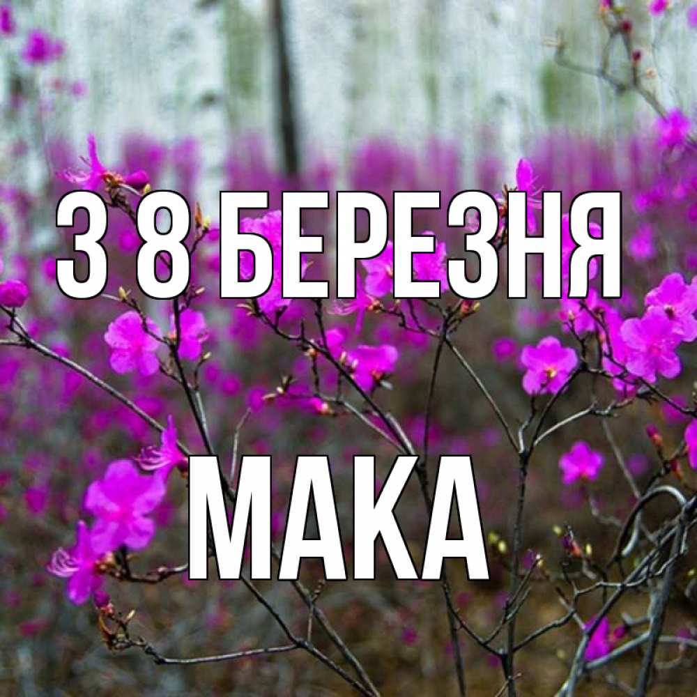 Открытка на каждый день з підписом, Мака З 8 БЕРЕЗНЯ дикие цветы Прикольна листівка з побажанням онлайн скачати безкоштовно 