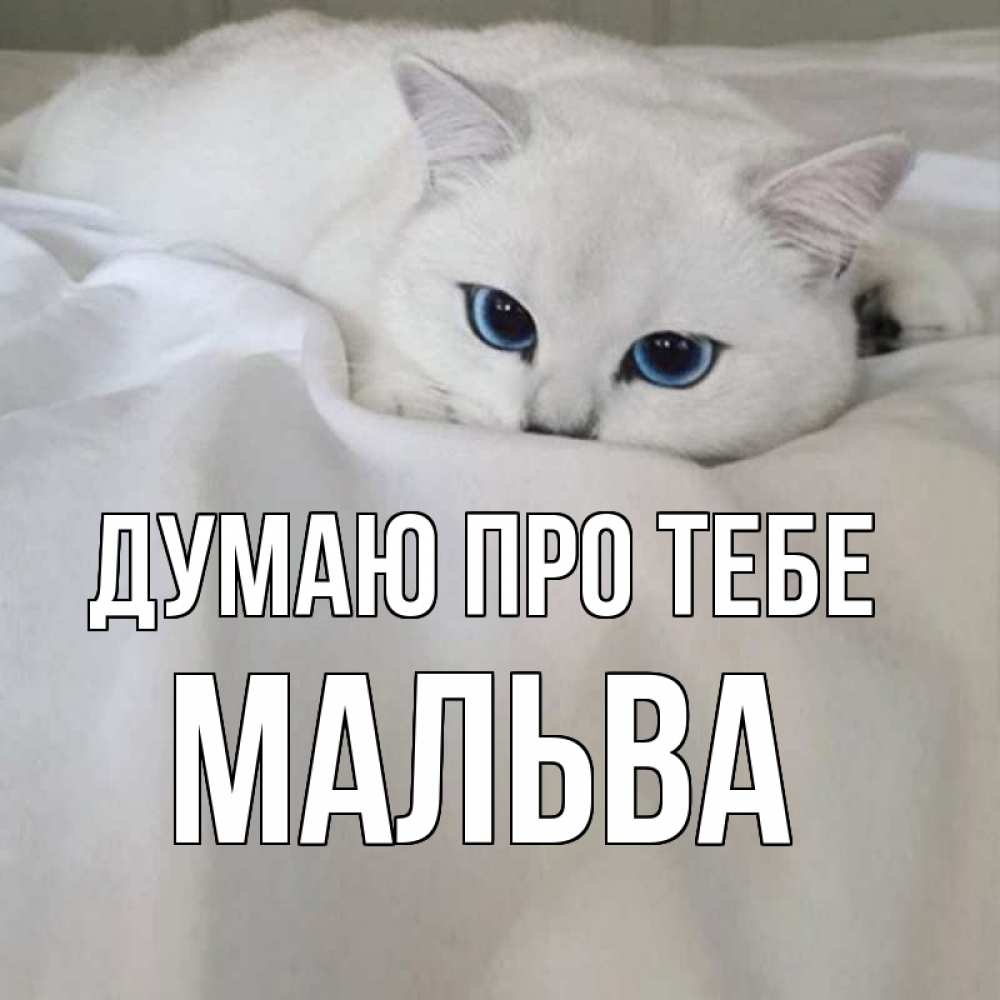 Открытка на каждый день з підписом, Мальва Думаю про тебе я очень по тебе скучаю и тоскую Прикольна листівка з побажанням онлайн скачати безкоштовно 