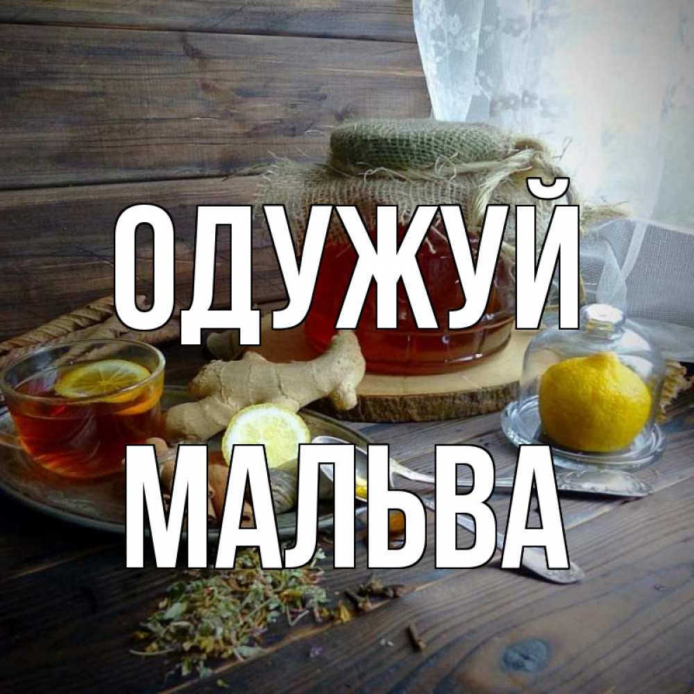 Открытка на каждый день з підписом, Мальва Одужуй банка с медом Прикольна листівка з побажанням онлайн скачати безкоштовно 
