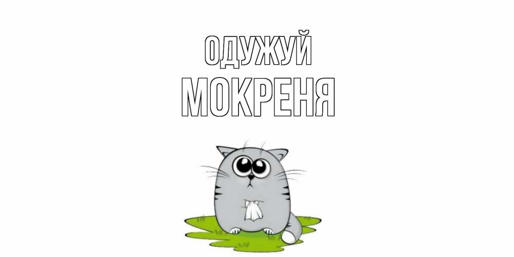 Открытка на каждый день з підписом, Мокреня Одужуй кот и открытки про выздоровление Прикольна листівка з побажанням онлайн скачати безкоштовно 