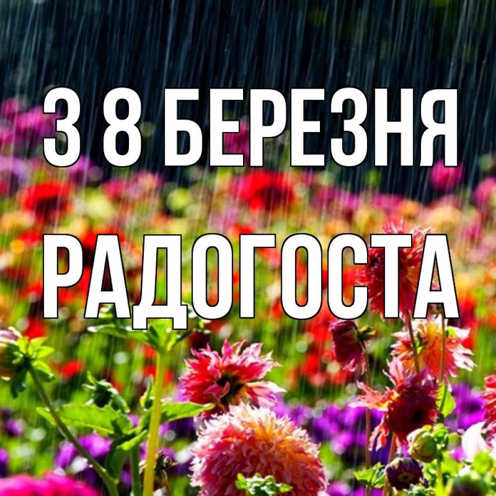 Открытка на каждый день з підписом, Радогоста З 8 БЕРЕЗНЯ цветы под дождиком к международному женскому дню Прикольна листівка з побажанням онлайн скачати безкоштовно 