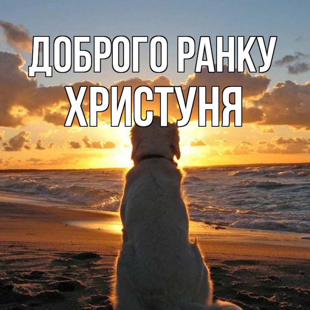Открытка на каждый день з підписом, Христуня Доброго ранку восход солнца Прикольна листівка з побажанням онлайн скачати безкоштовно 