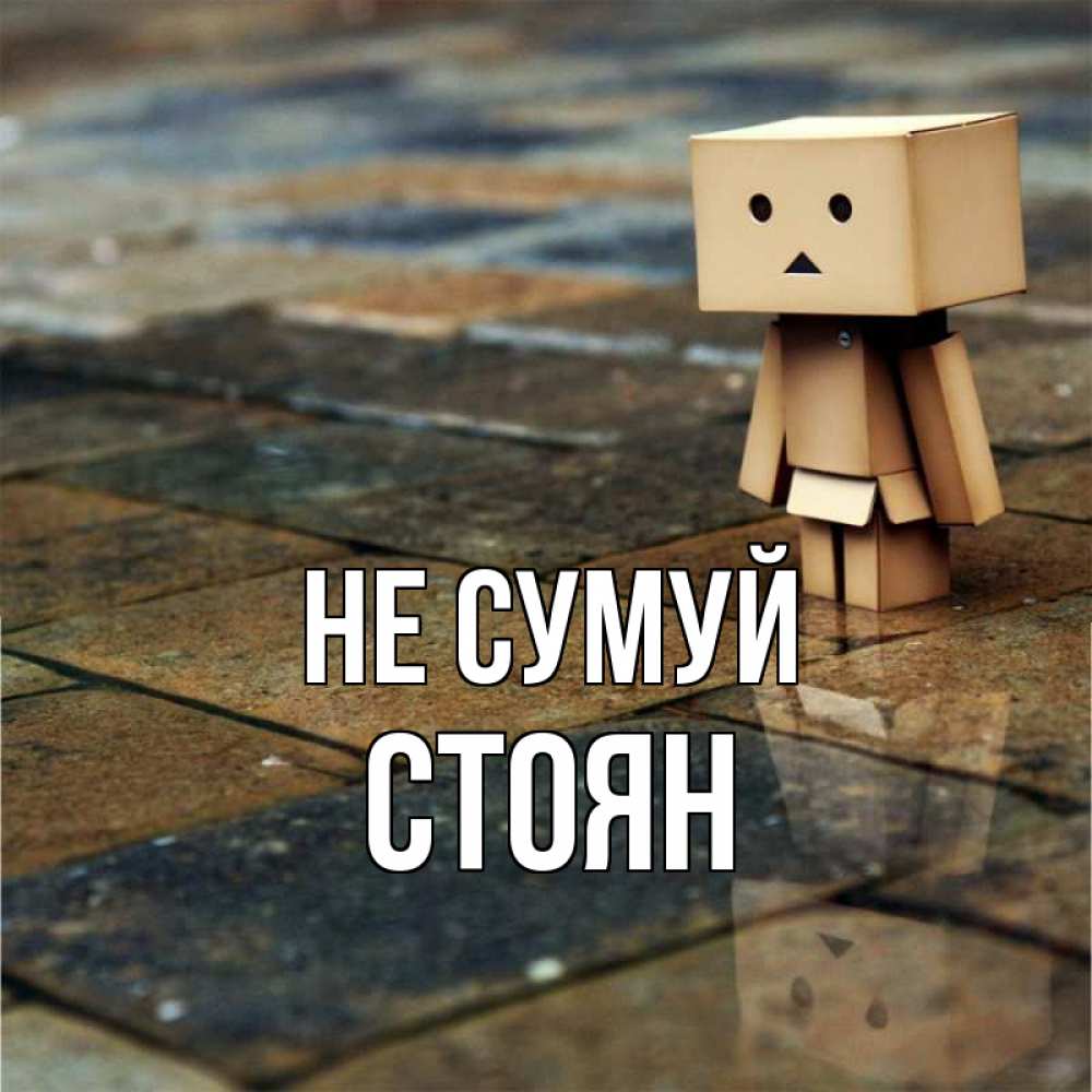 Открытка на каждый день з підписом, Стоян Не сумуй Стив Прикольна листівка з побажанням онлайн скачати безкоштовно 