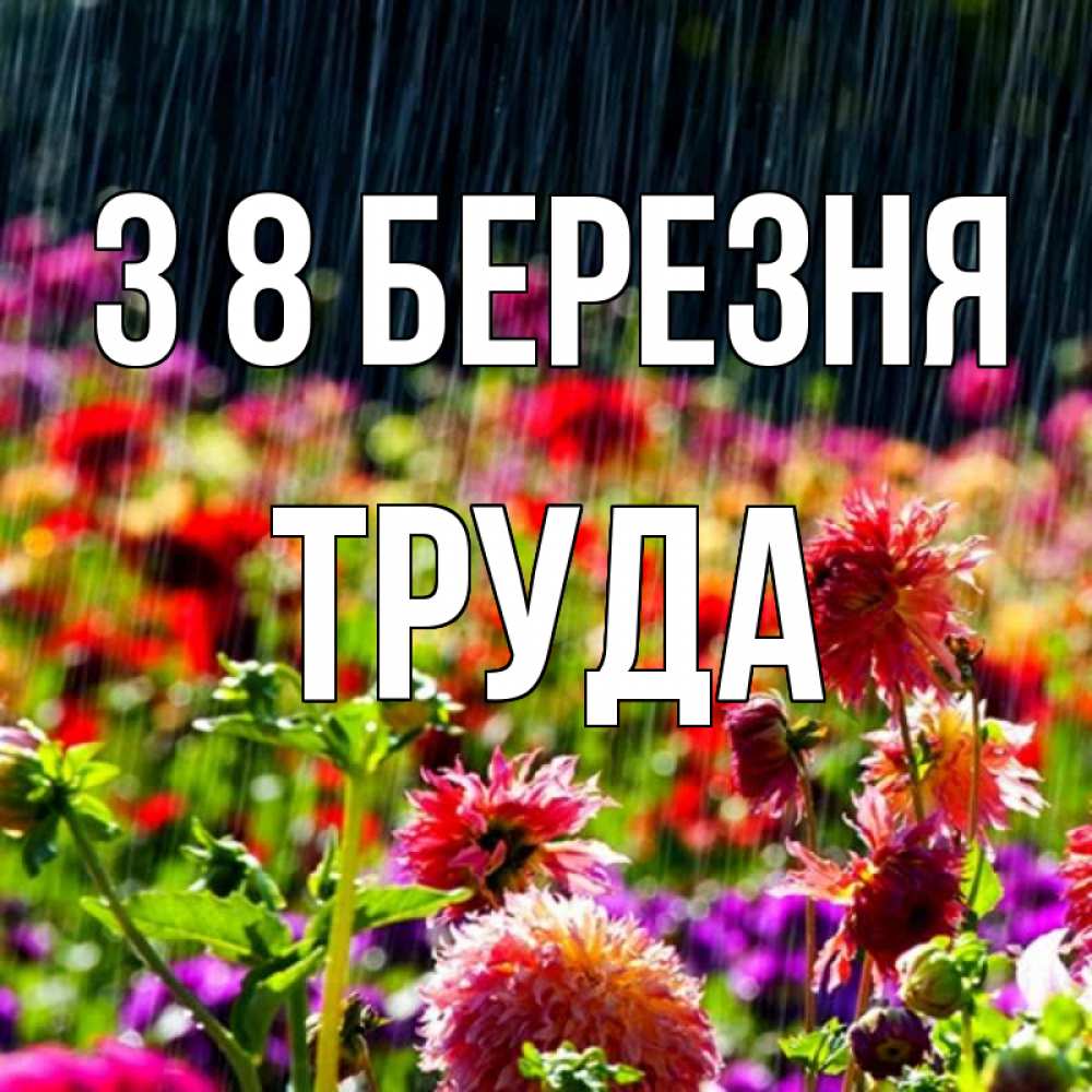 Открытка на каждый день з підписом, Труда З 8 БЕРЕЗНЯ цветы под дождиком к международному женскому дню Прикольна листівка з побажанням онлайн скачати безкоштовно 