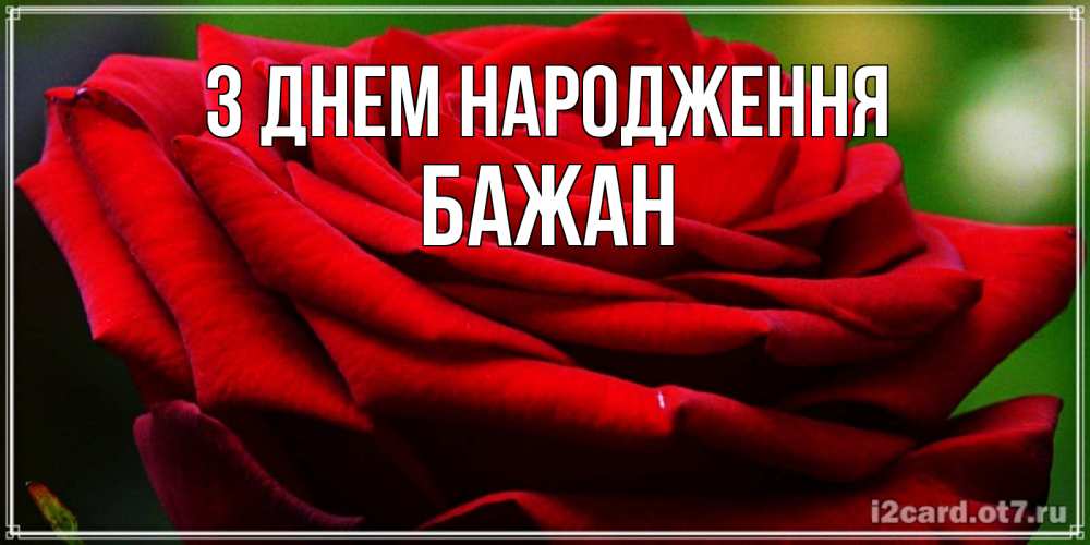 Открытка на каждый день з підписом, Бажан З Днем народження розочка очень красивая Прикольна листівка з побажанням онлайн скачати безкоштовно 