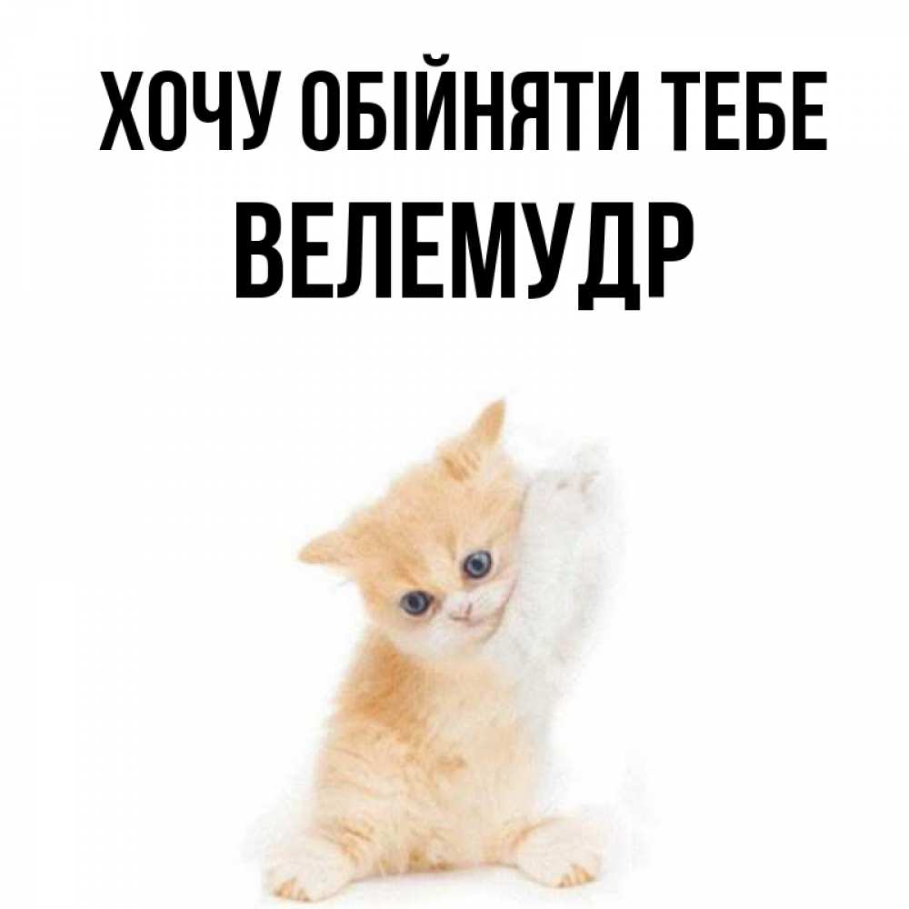 Открытка на каждый день з підписом, Велемудр Хочу обійняти тебе я хочу очень скорее обнимаешек Прикольна листівка з побажанням онлайн скачати безкоштовно 