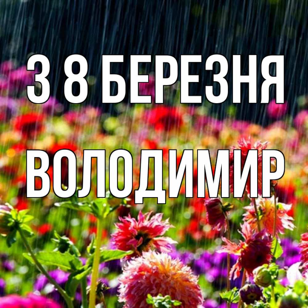 Открытка на каждый день з підписом, Володимир З 8 БЕРЕЗНЯ цветы под дождиком к международному женскому дню Прикольна листівка з побажанням онлайн скачати безкоштовно 