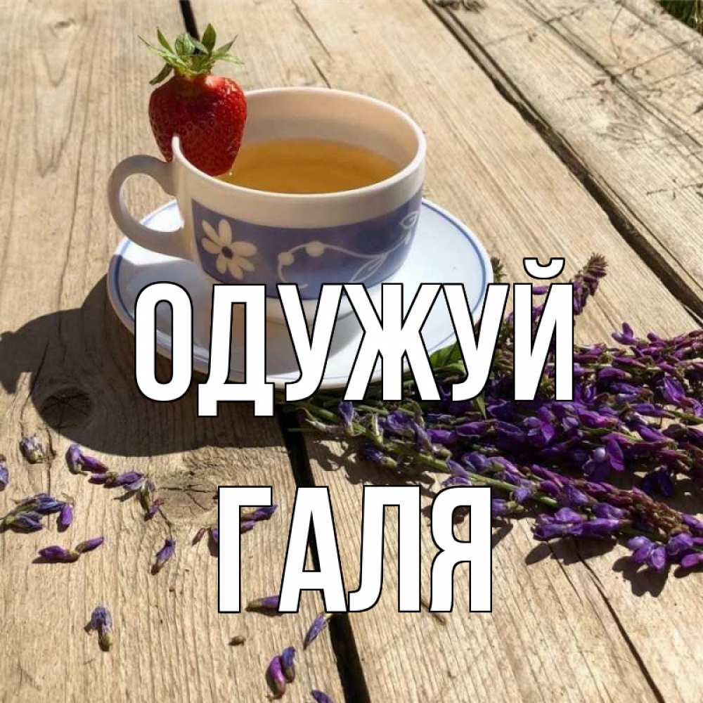 Открытка на каждый день з підписом, Галя Одужуй чай Прикольна листівка з побажанням онлайн скачати безкоштовно 