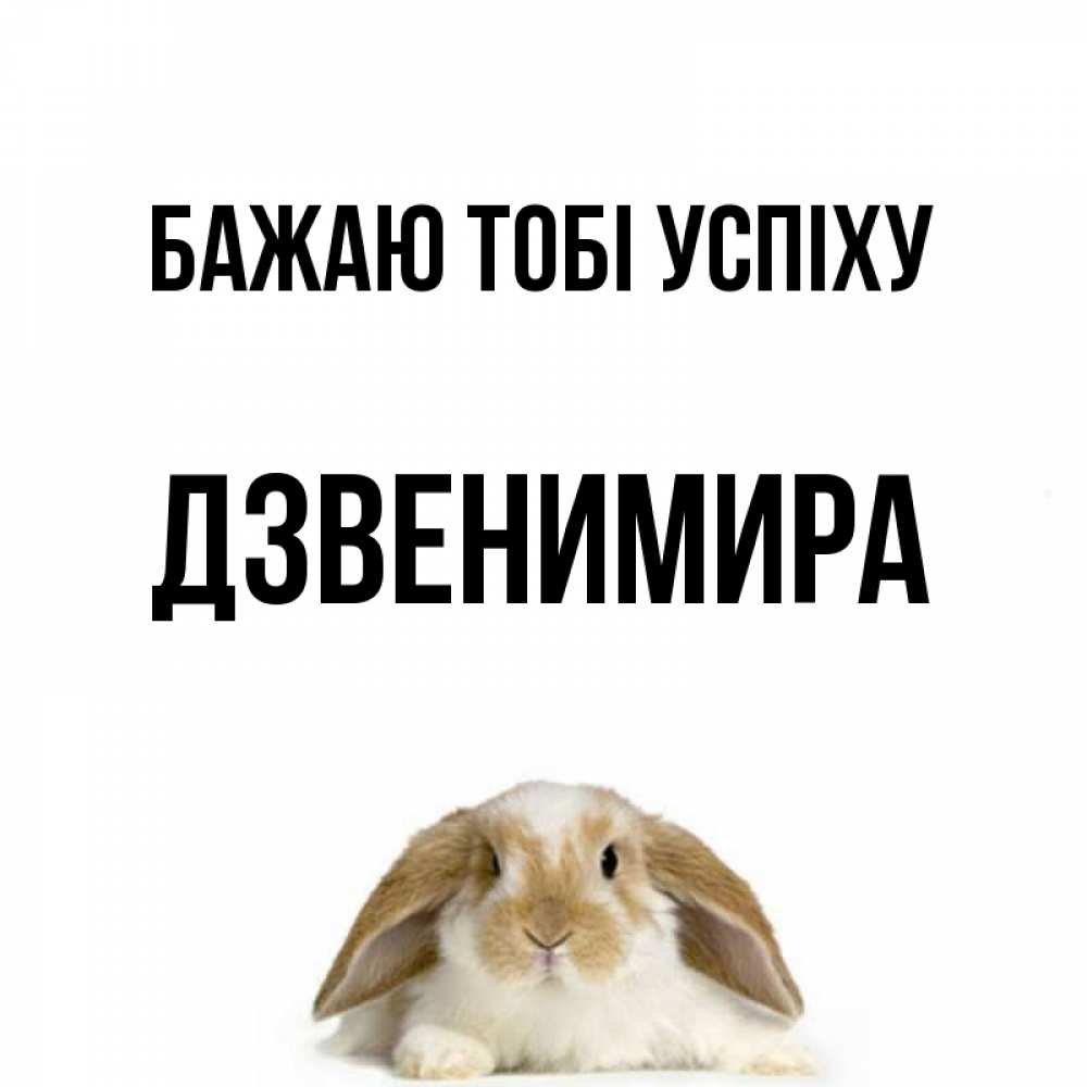 Открытка на каждый день з підписом, Дзвенимира Бажаю тобі успіху открытки с произвольным текстом который можно вставить в открытку и создать ее самостоятельно бесплатно онлайн Прикольна листівка з побажанням онлайн скачати безкоштовно 