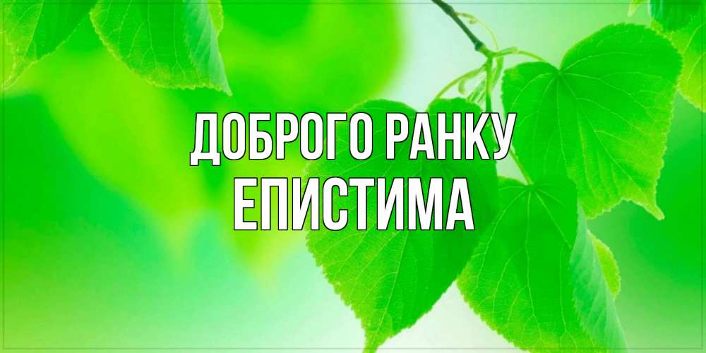 Открытка на каждый день з підписом, Епистима Доброго ранку доброе утро с березовыми листьями Прикольна листівка з побажанням онлайн скачати безкоштовно 