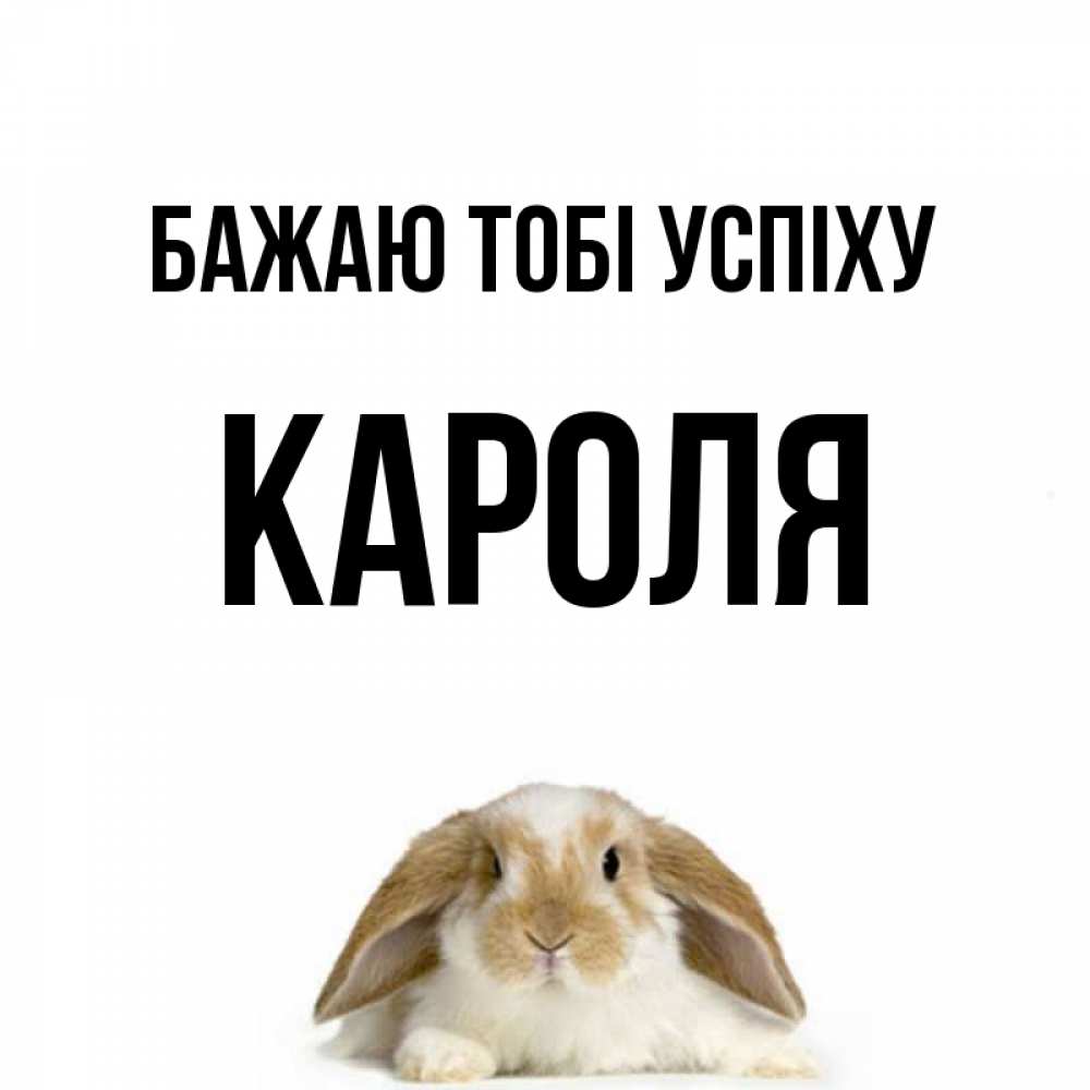 Открытка на каждый день з підписом, Кароля Бажаю тобі успіху открытки с произвольным текстом который можно вставить в открытку и создать ее самостоятельно бесплатно онлайн Прикольна листівка з побажанням онлайн скачати безкоштовно 