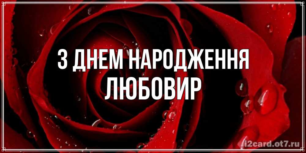 Открытка на каждый день з підписом, Любовир З Днем народження крупная бордовая роза Прикольна листівка з побажанням онлайн скачати безкоштовно 