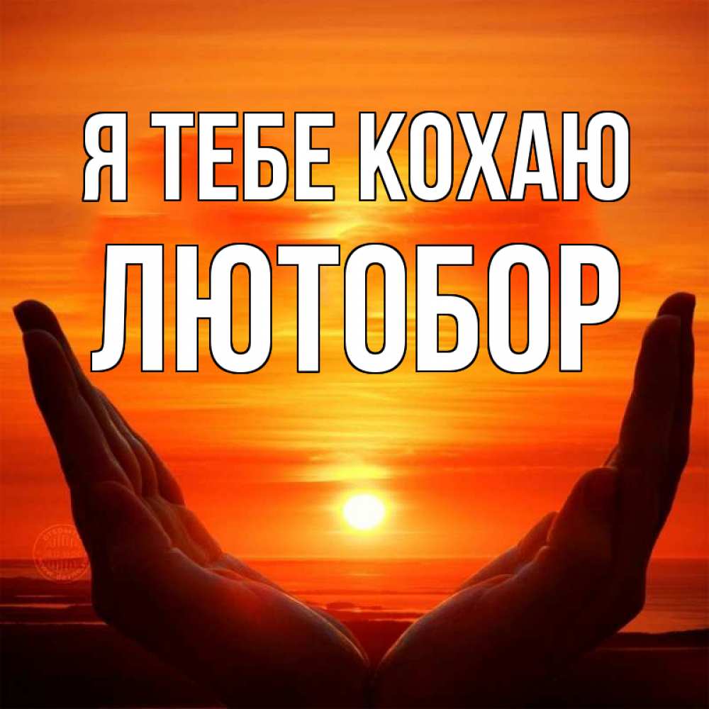 Открытка на каждый день з підписом, Лютобор Я тебе кохаю в руках Прикольна листівка з побажанням онлайн скачати безкоштовно 