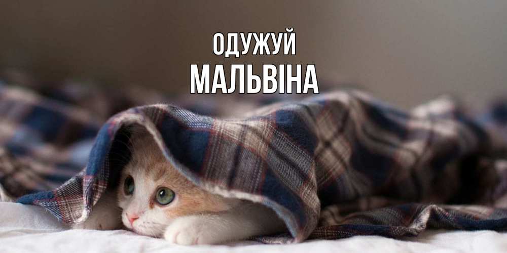 Открытка на каждый день з підписом, Мальвіна Одужуй не болейте с котиком Прикольна листівка з побажанням онлайн скачати безкоштовно 
