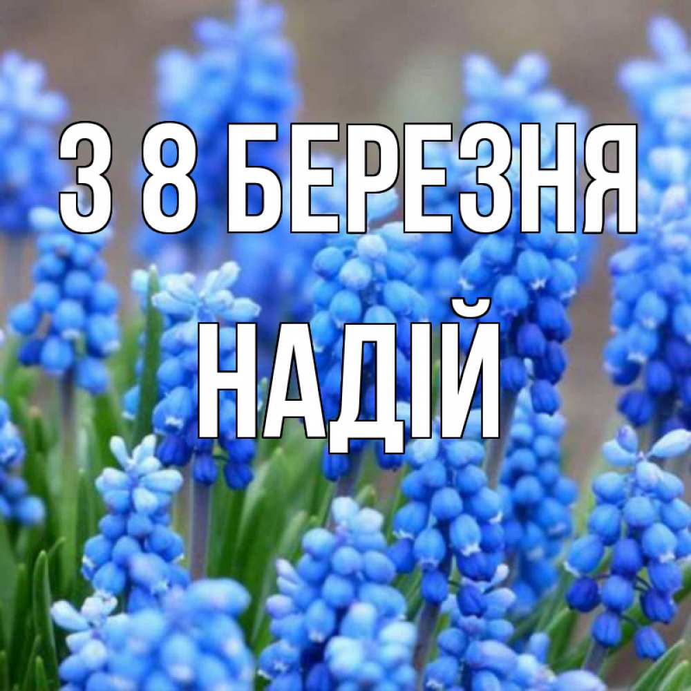 Открытка на каждый день з підписом, Надій З 8 БЕРЕЗНЯ Поздравительная открытка для женщин с цветами на праздничную дату Прикольна листівка з побажанням онлайн скачати безкоштовно 