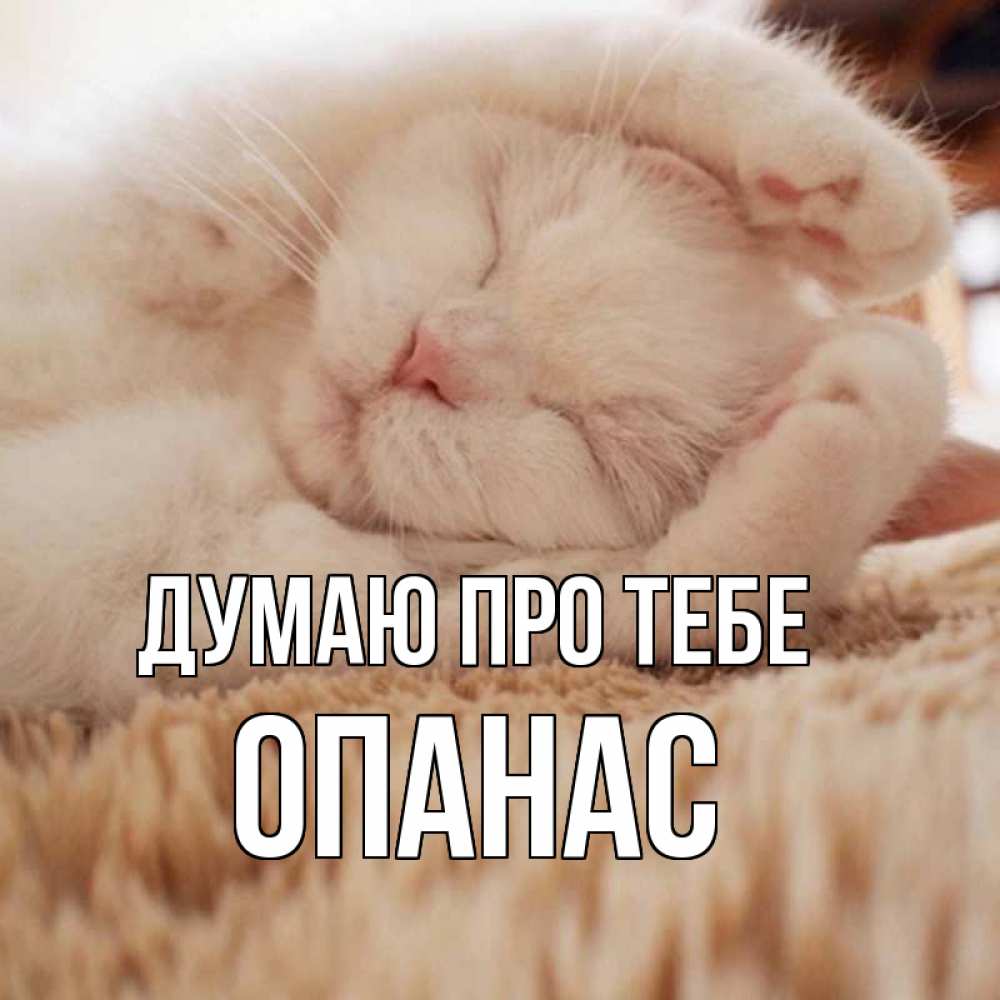 Открытка на каждый день з підписом, Опанас Думаю про тебе для любимой девушки милота Прикольна листівка з побажанням онлайн скачати безкоштовно 