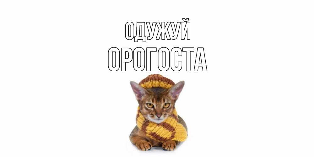 Открытка на каждый день з підписом, Орогоста Одужуй родные не болейте Прикольна листівка з побажанням онлайн скачати безкоштовно 