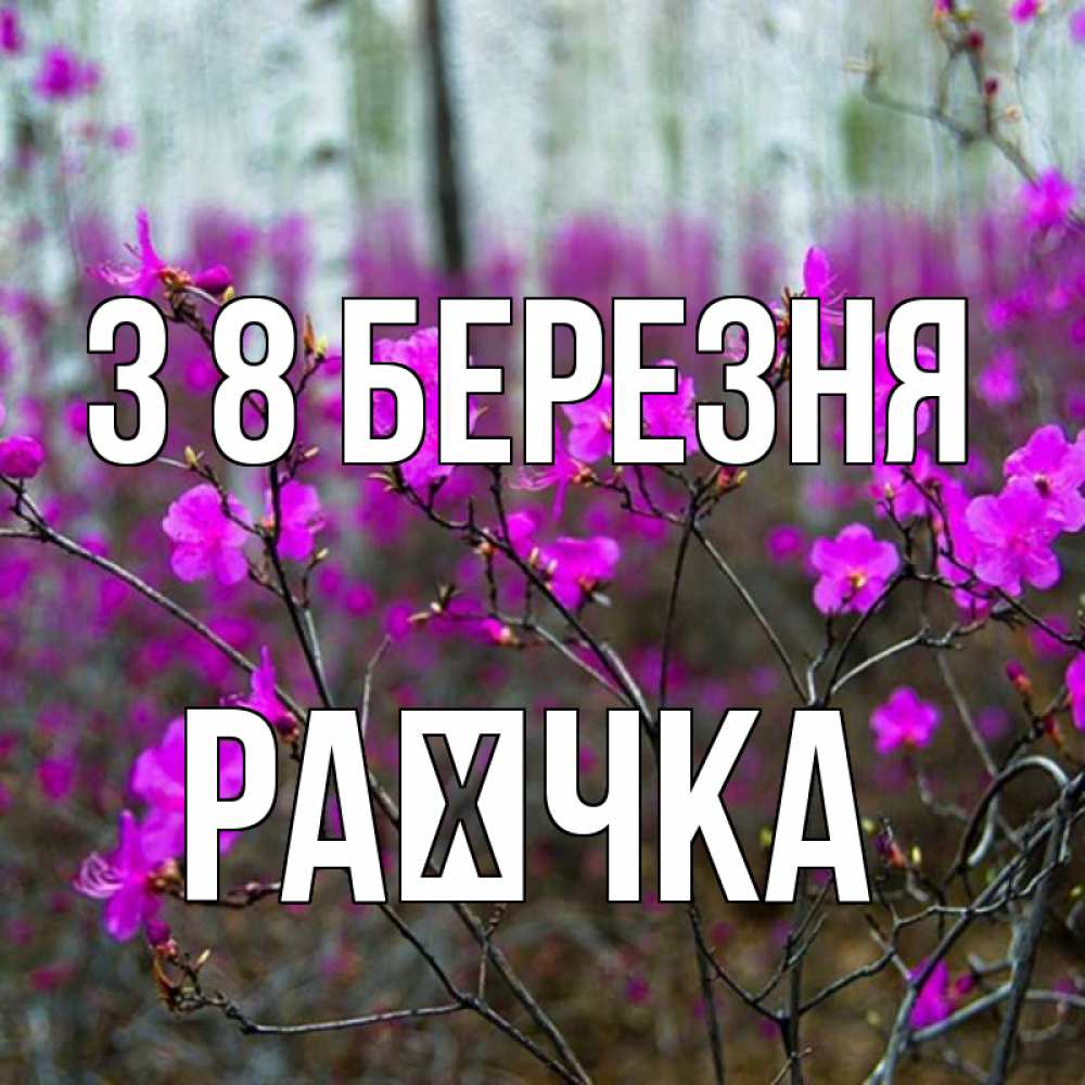 Открытка на каждый день з підписом, Раєчка З 8 БЕРЕЗНЯ дикие цветы Прикольна листівка з побажанням онлайн скачати безкоштовно 