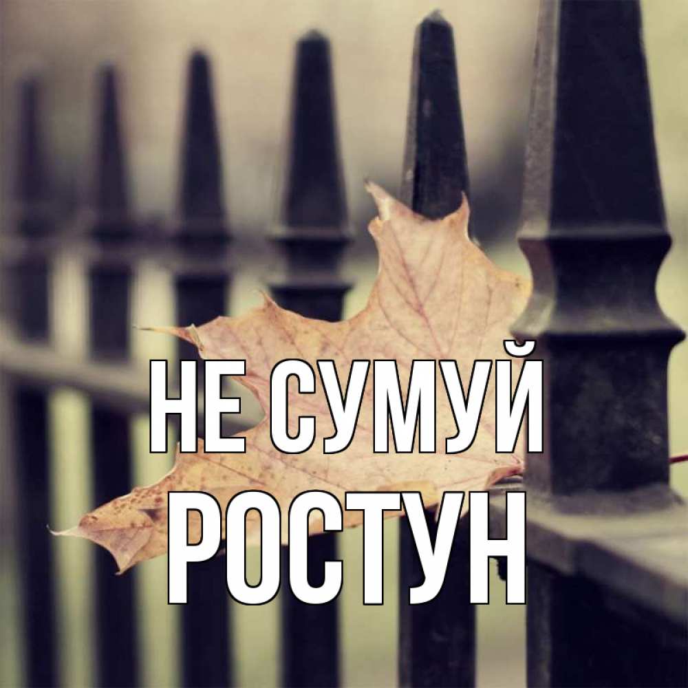 Открытка на каждый день з підписом, Ростун Не сумуй лист клена Прикольна листівка з побажанням онлайн скачати безкоштовно 