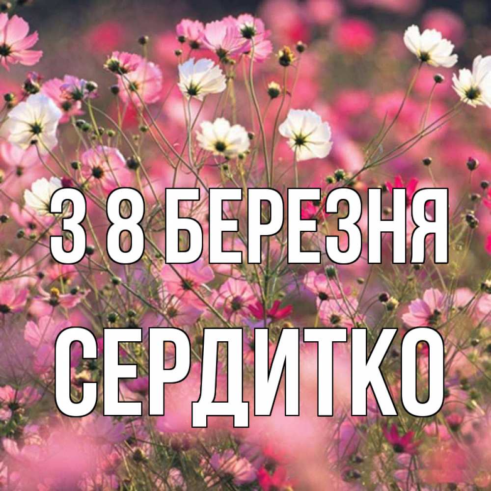 Открытка на каждый день з підписом, Сердитко З 8 БЕРЕЗНЯ красиво 1 Прикольна листівка з побажанням онлайн скачати безкоштовно 