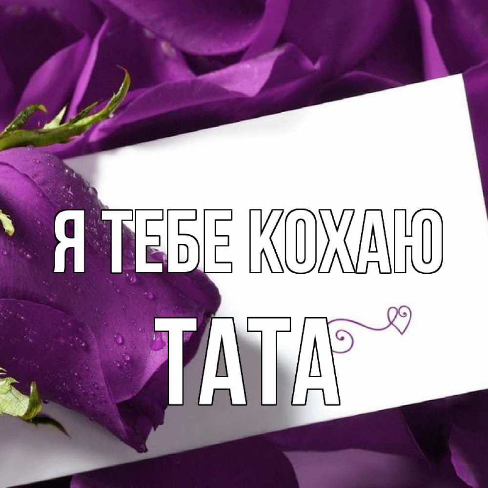 Открытка на каждый день з підписом, Тата Я тебе кохаю роза Прикольна листівка з побажанням онлайн скачати безкоштовно 