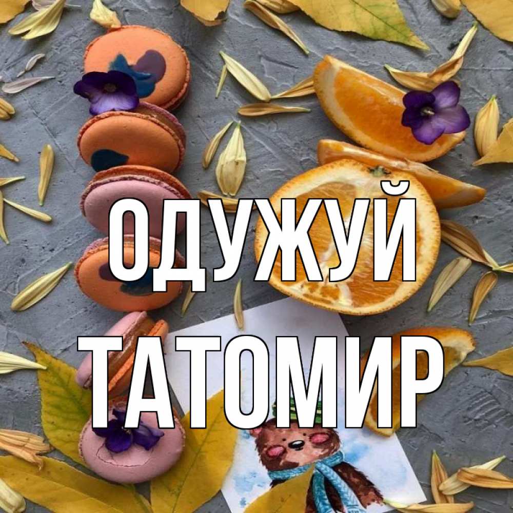 Открытка на каждый день з підписом, Татомир Одужуй не болейте Прикольна листівка з побажанням онлайн скачати безкоштовно 
