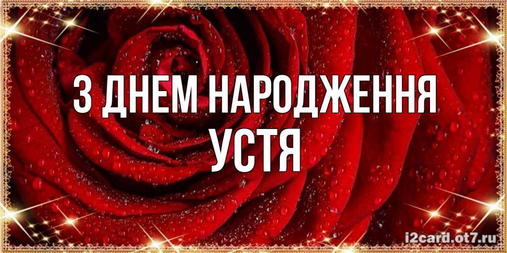 Открытка на каждый день з підписом, Устя З Днем народження роса на розе блестящая в лучах солнца Прикольна листівка з побажанням онлайн скачати безкоштовно 